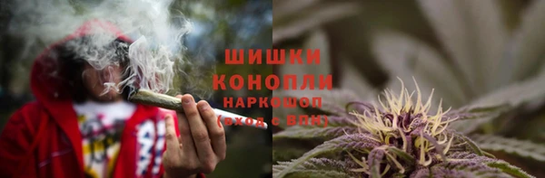 стаф Верхний Тагил
