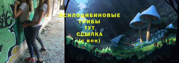 а пвп мука Верея